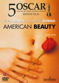 American Beauty (DVD)
