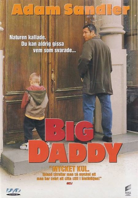 Big Daddy (DVD)