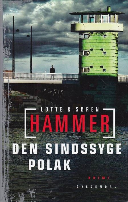 Den sindssyge polak (Bog)