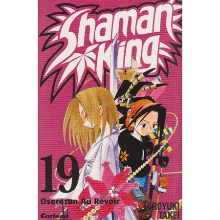 Shaman king 19 (Bog)