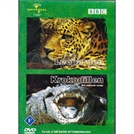 Leoparden og Krokodillen (DVD)