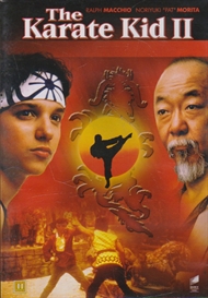 The karate kid 2 (DVD)